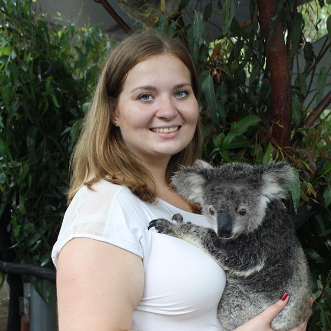 The People Involved - Australian Koala Foundation