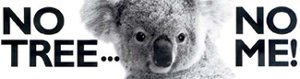 Klicken Sie hier, um mehr über die Zerstörung des Lebensraumes des Koalas zu erfahren!