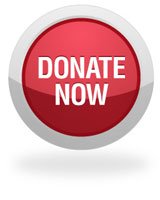 Donate Now button