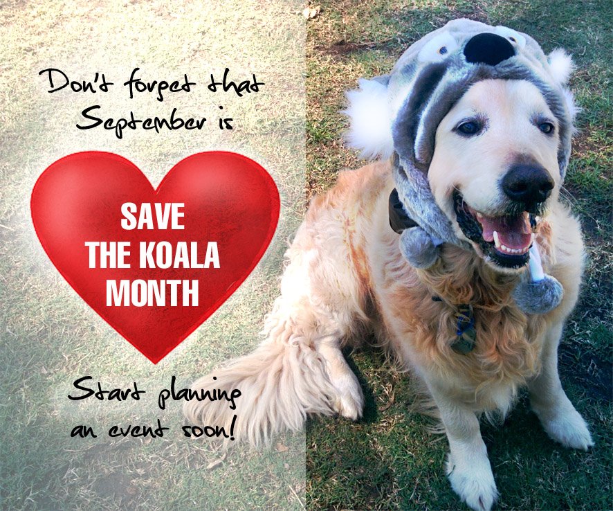 Save the Koala Month